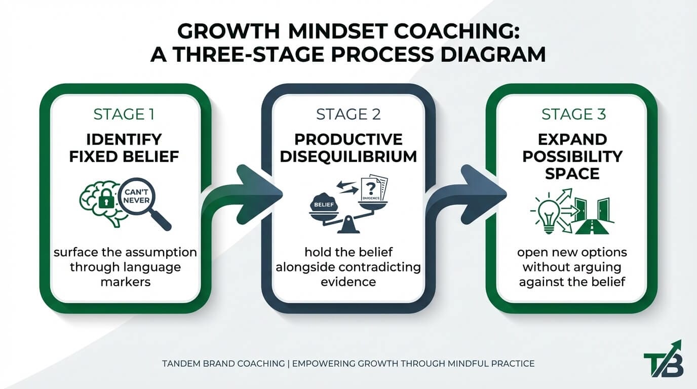 Three stages of growth mindset coaching: identify fixed belief, create productive disequilibrium, expand possibility space