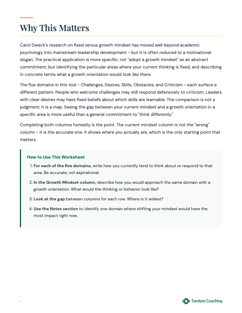 Growth Mindset - preview