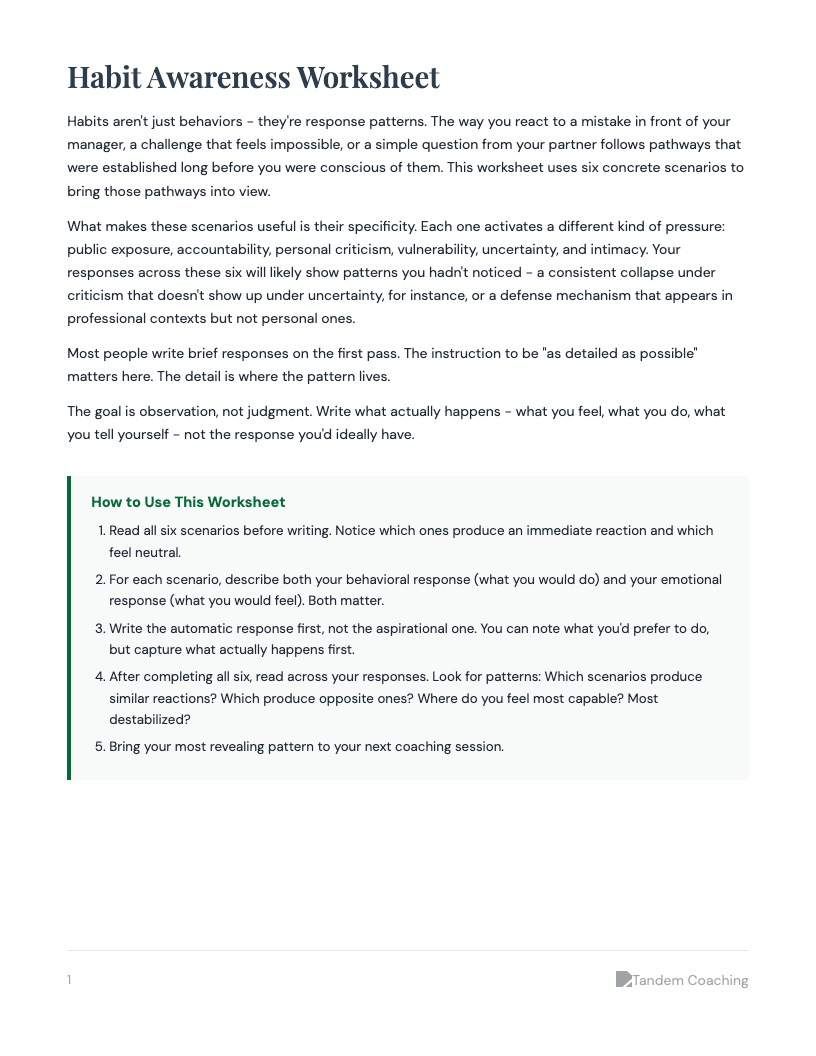 Habit Awareness Worksheet - preview