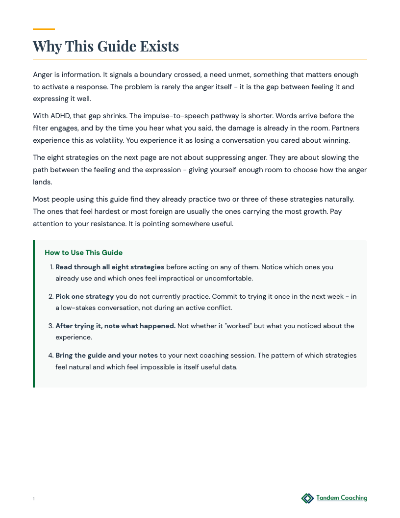 Healthy Anger Expression Guide - preview