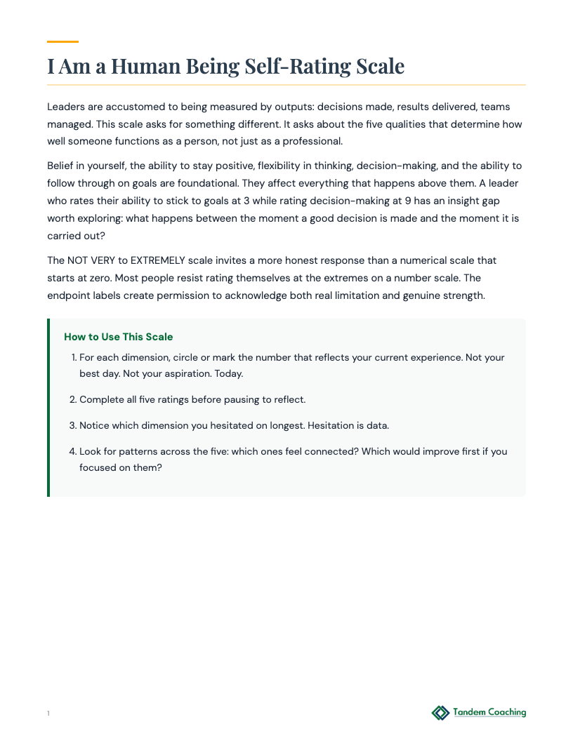 I Am a Human Being Self-Rating Scale - preview