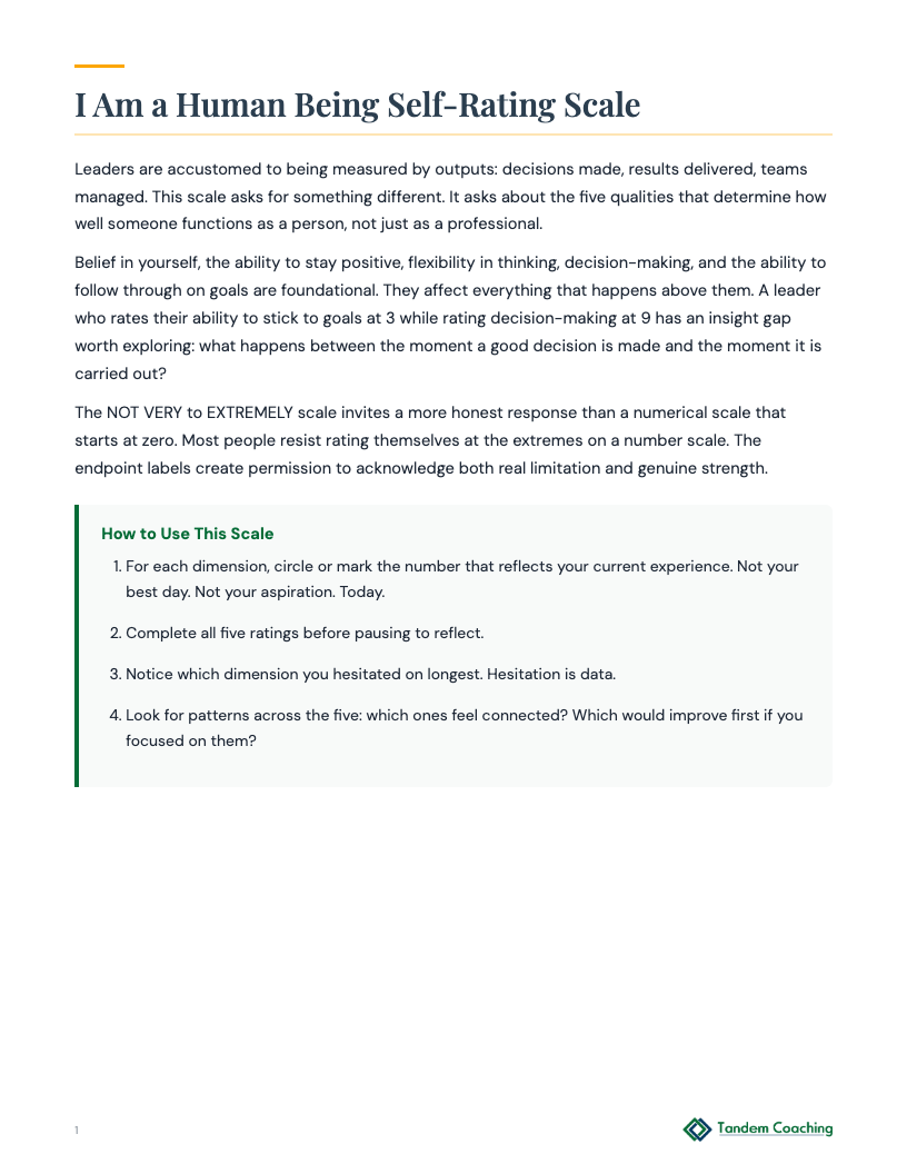 I Am a Human Being Self-Rating Scale - preview