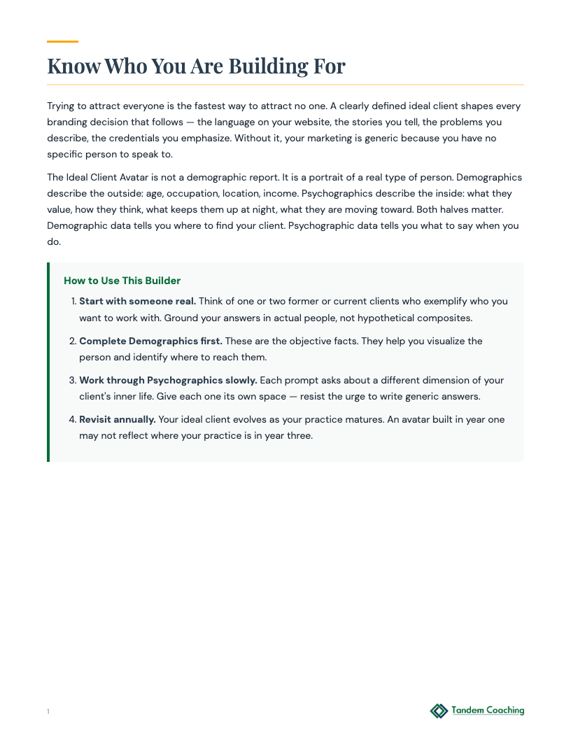 Ideal Client Avatar - preview