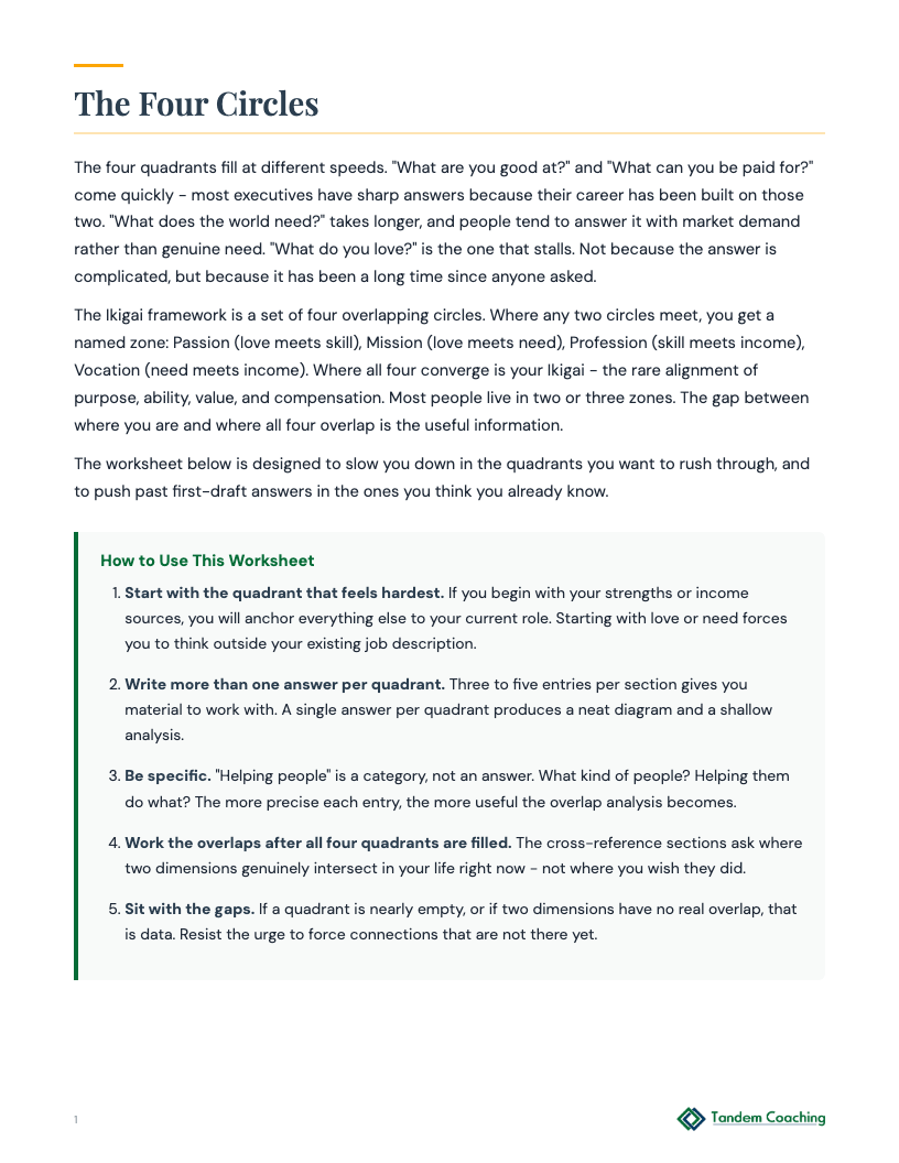 Ikigai Discovery - preview