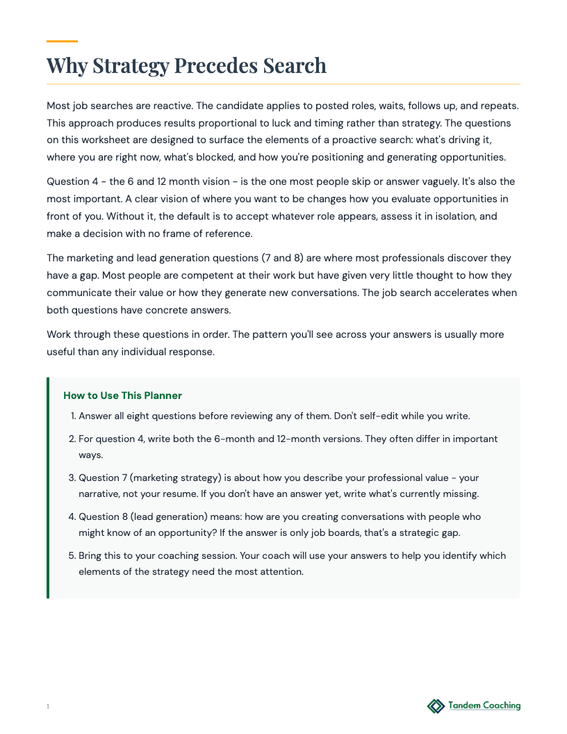 Job Search Strategy Planner - preview