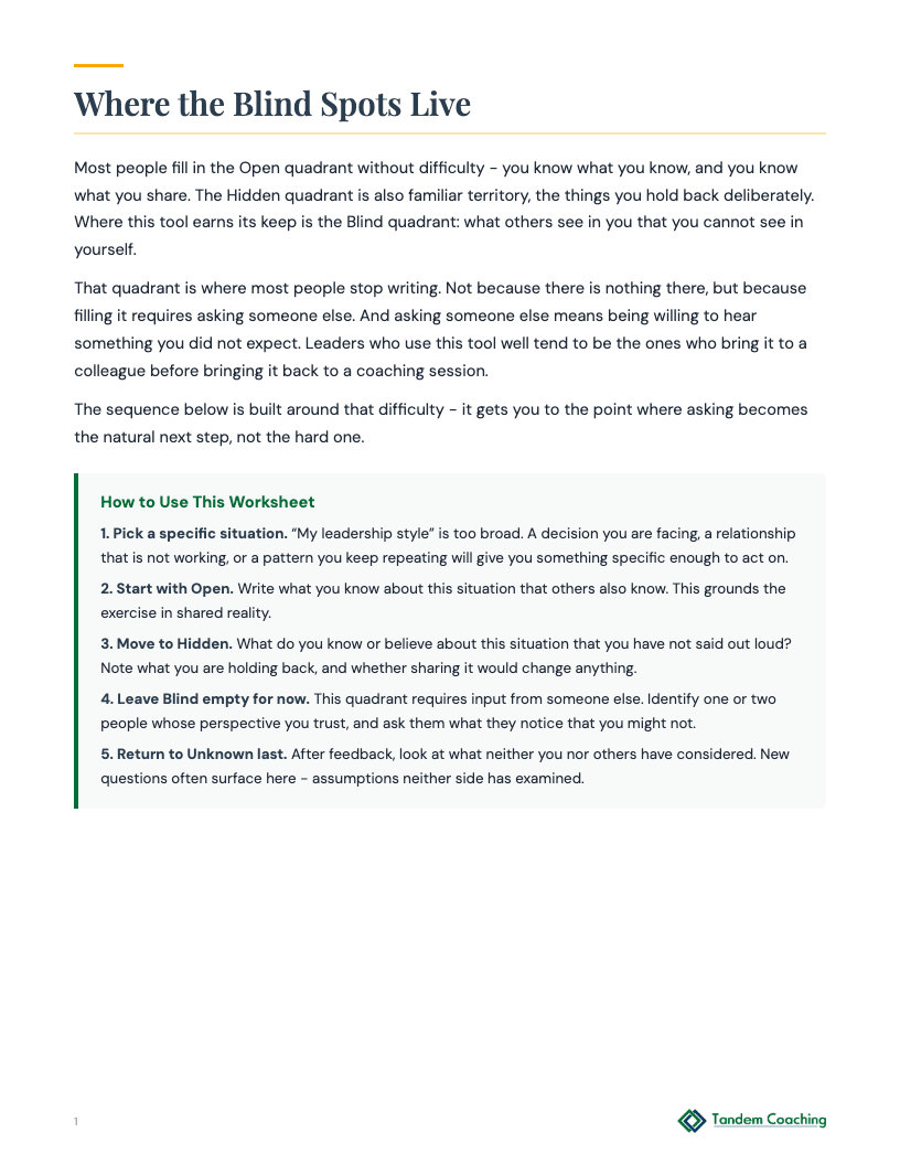 Johari Window - preview