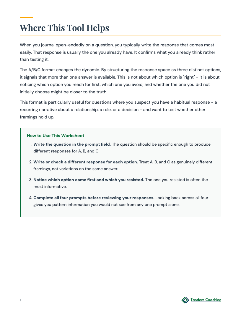 Journalling Prompts with Multiple Perspectives - preview