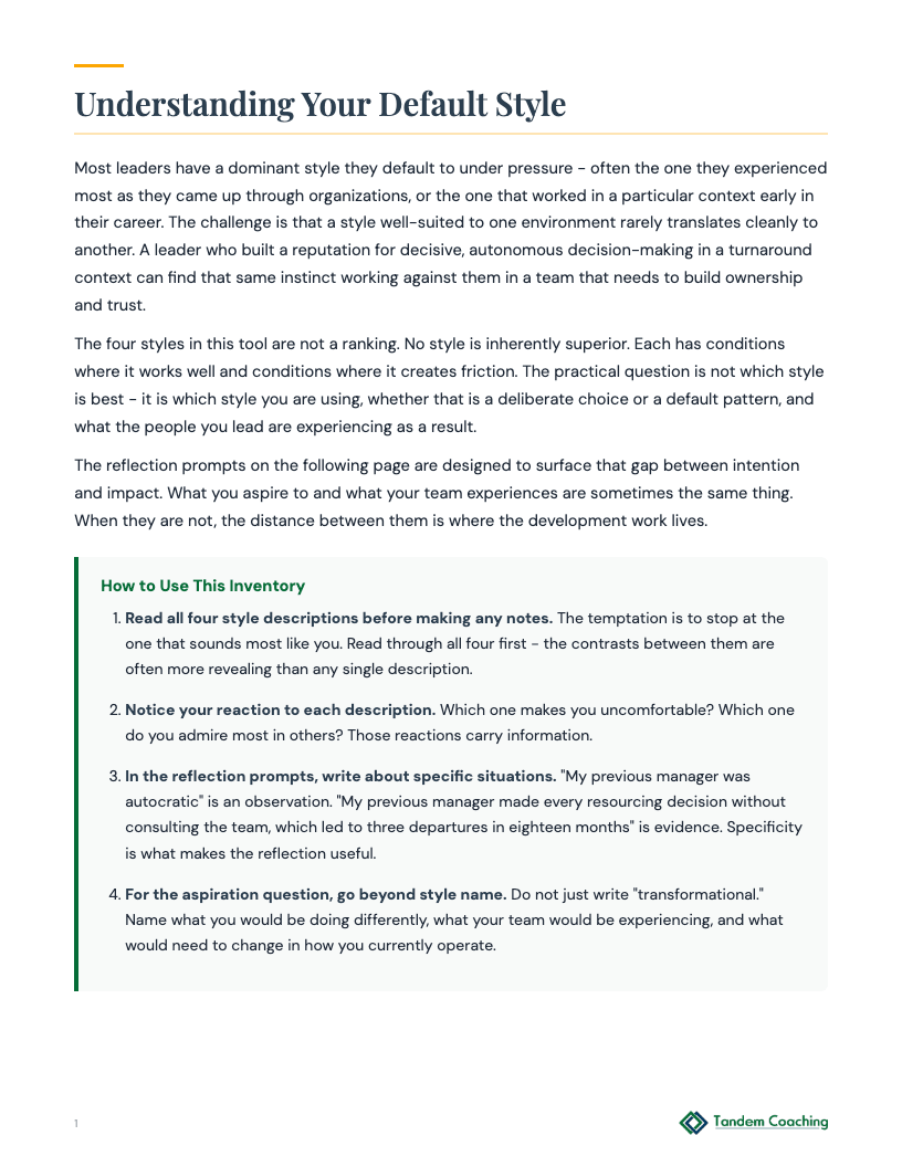 Leadership Styles Inventory - preview