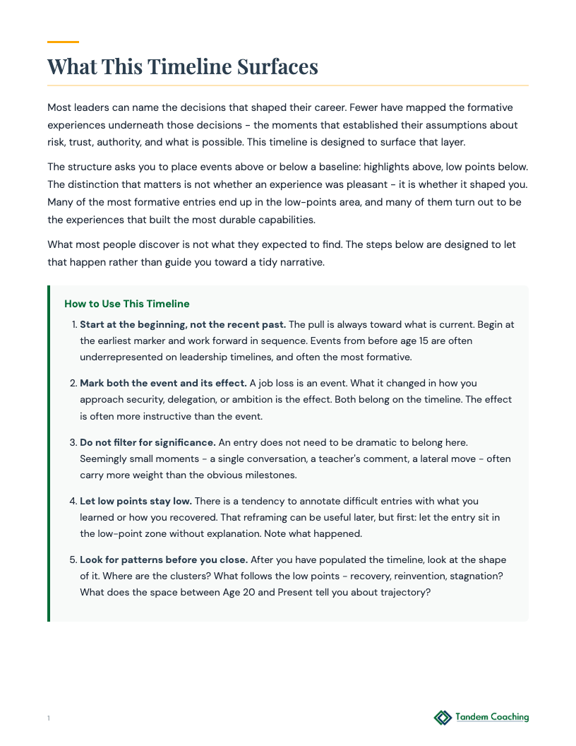 Life's Journey Timeline - preview