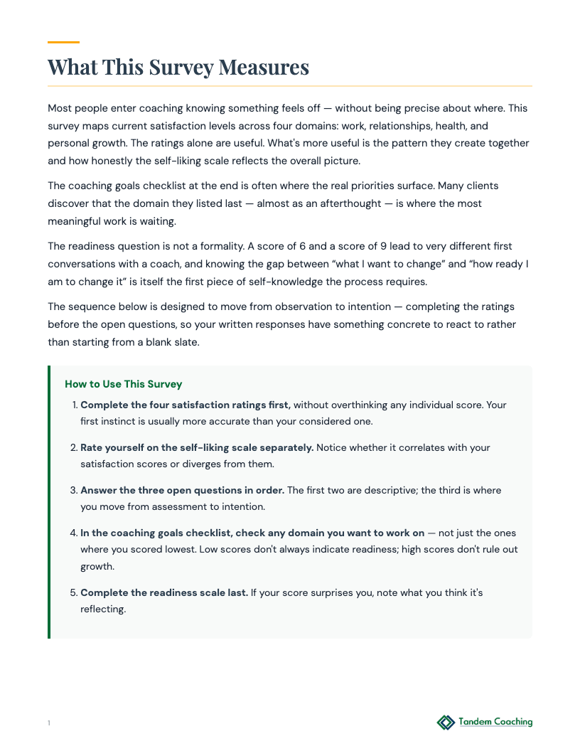 Life Satisfaction Survey - preview