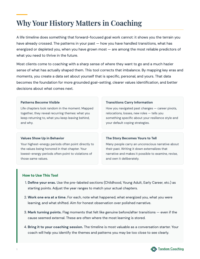 Life Timeline - preview