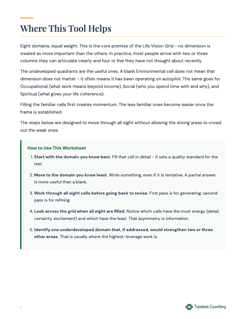 Life Vision Grid - preview