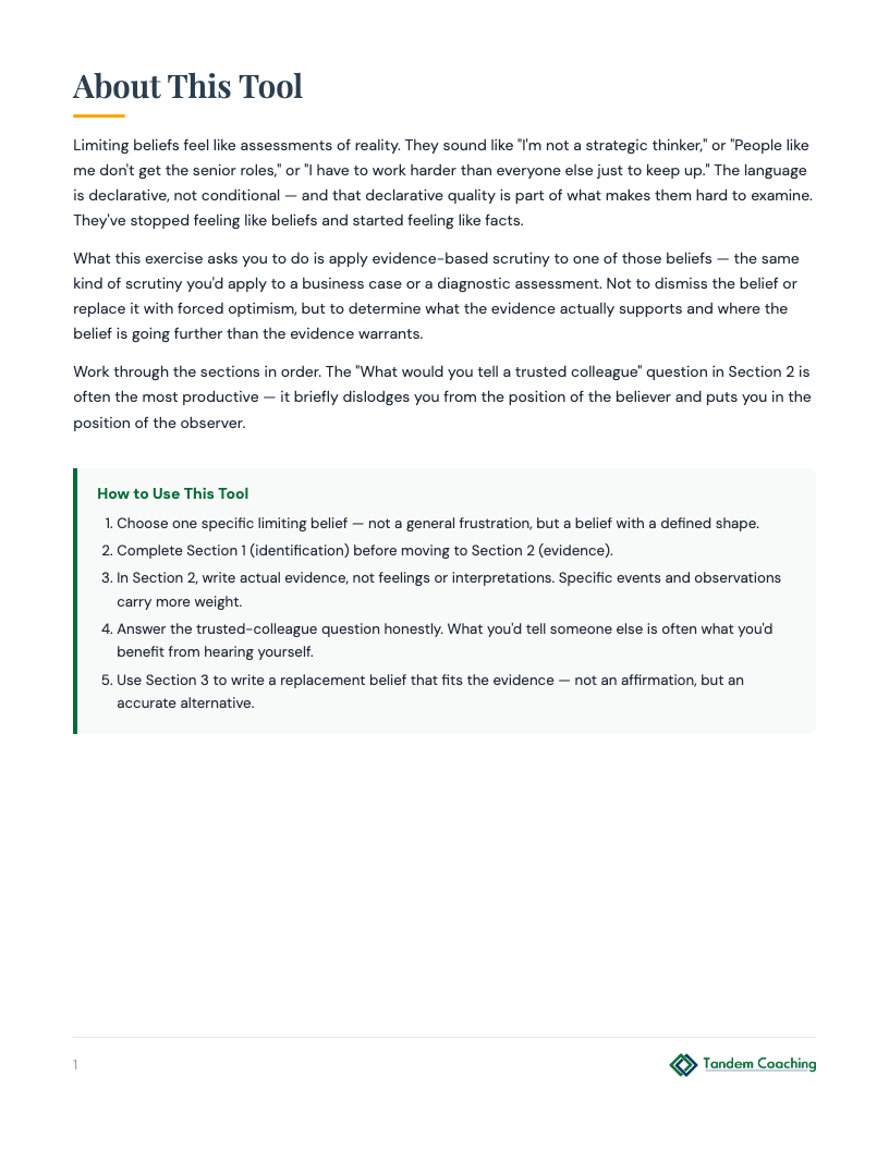 Limiting Belief Excavation - preview