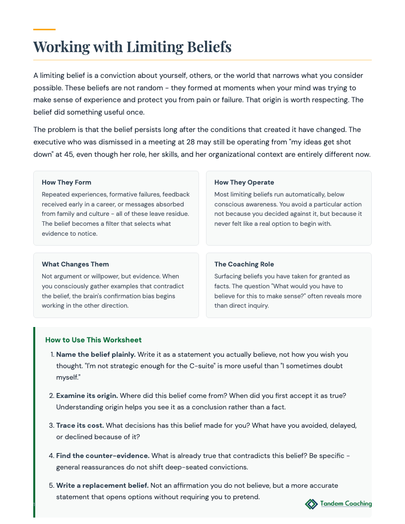 Limiting Beliefs Worksheet - preview