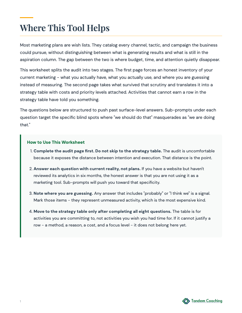 Marketing Audit Worksheet - preview
