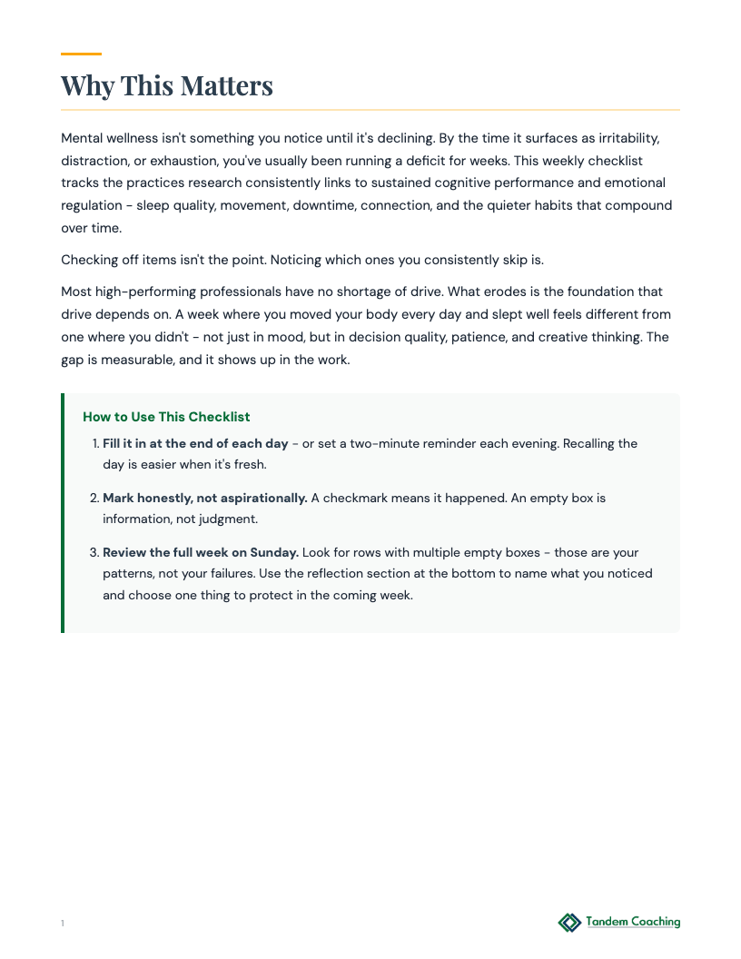 Mental Wellness Checklist - preview