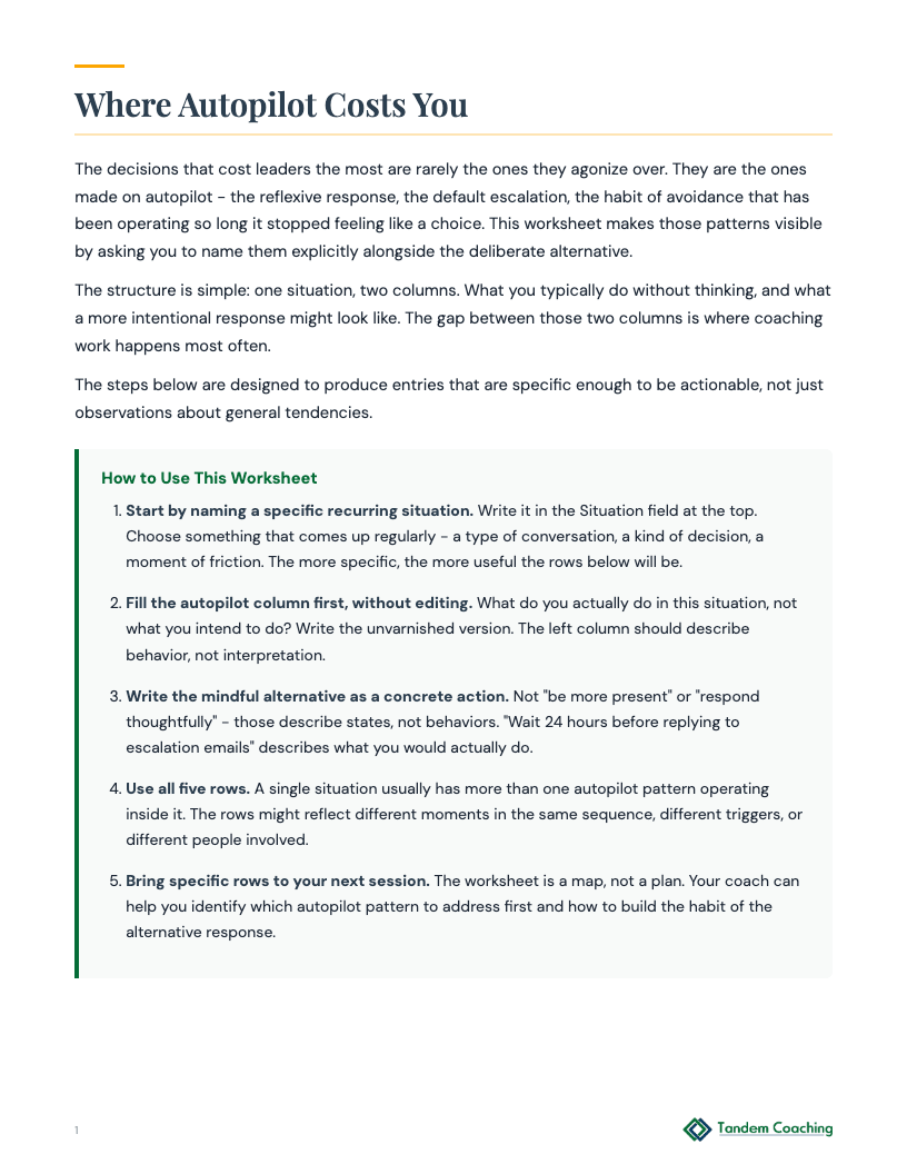 Mindful Choices Worksheet - preview