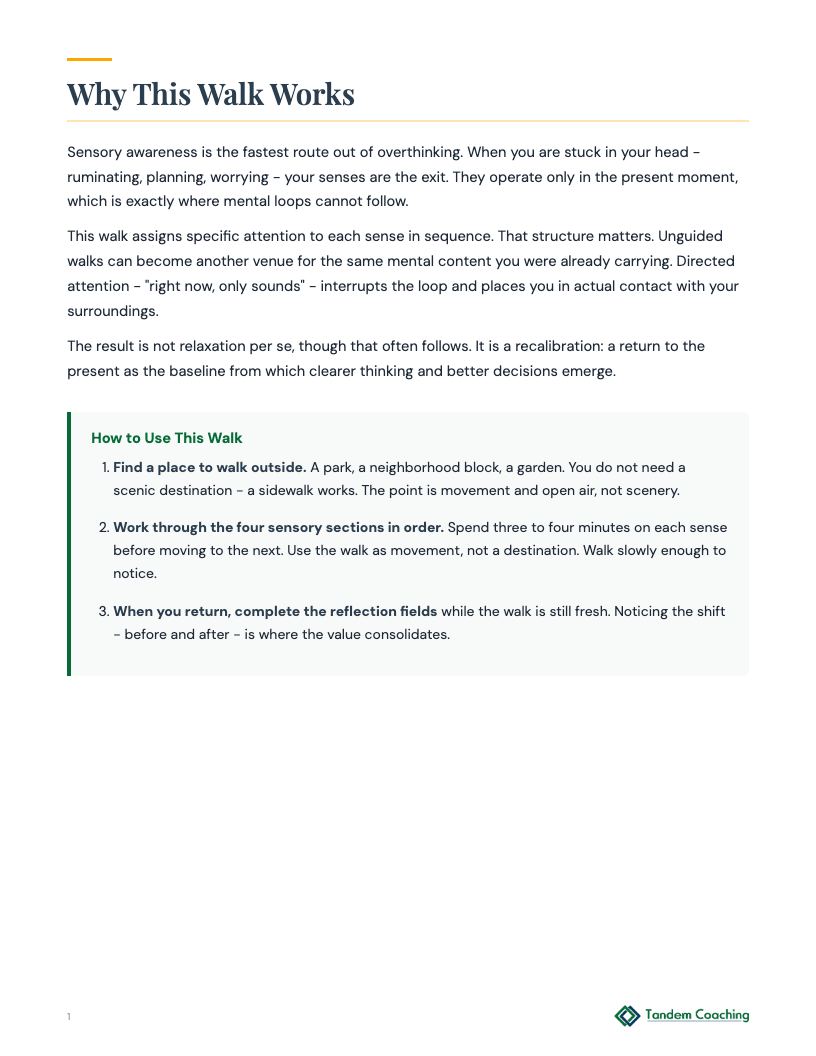 Mindful Senses Walk - preview