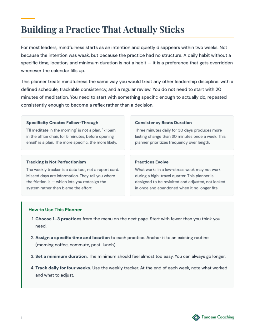 Mindfulness Practice Planner - preview