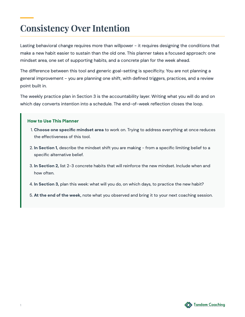 Mindset and Habit Planner - preview