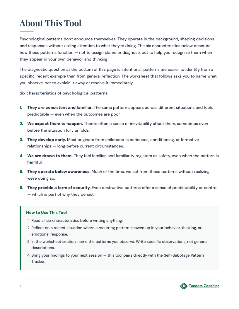 Mindset Pattern Audit - preview
