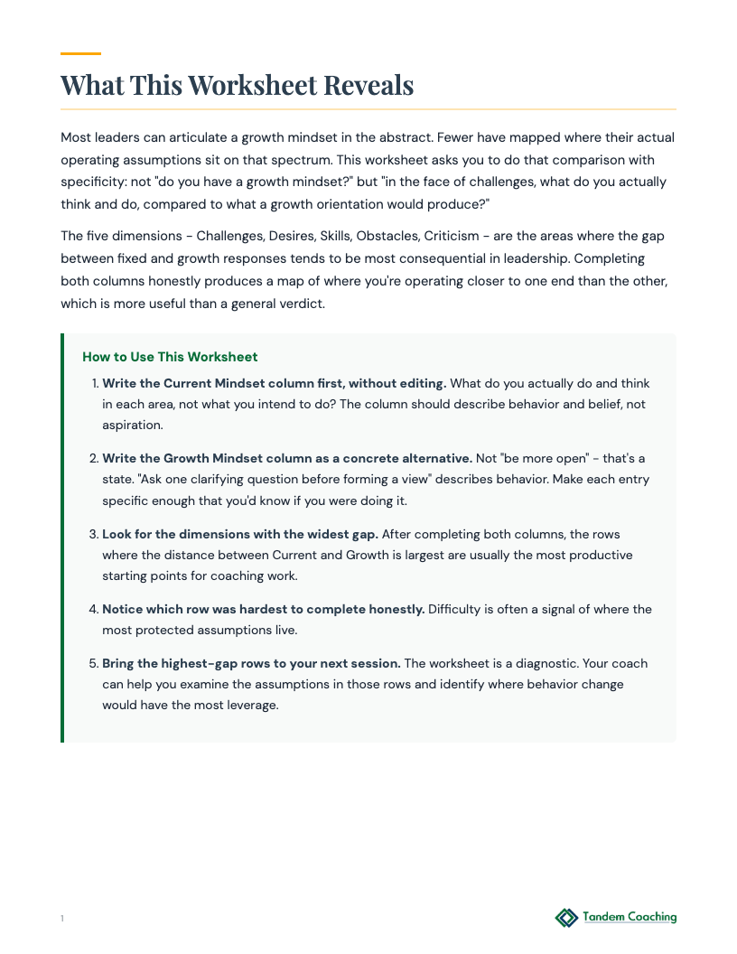 Mindset Worksheet - preview