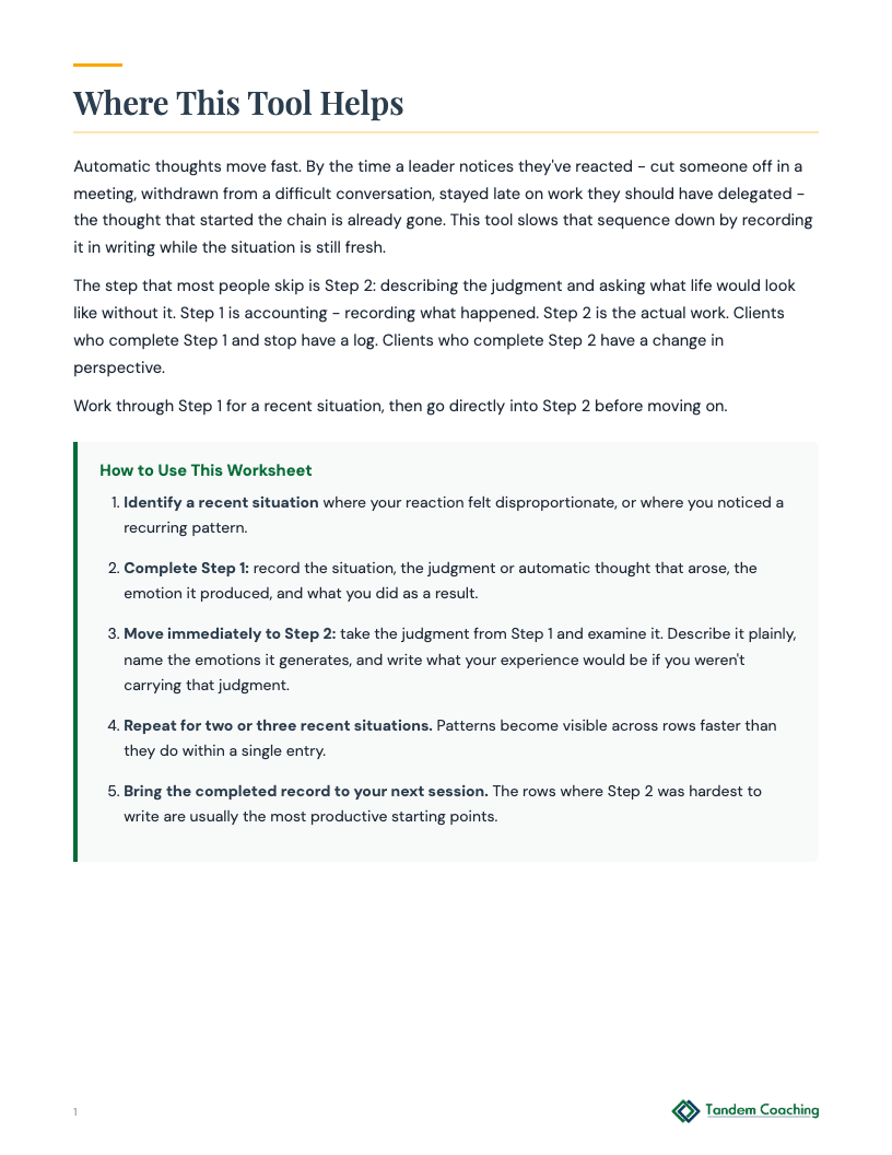 Negative Thought Record - preview