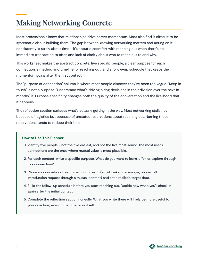 Networking Action Plan - preview