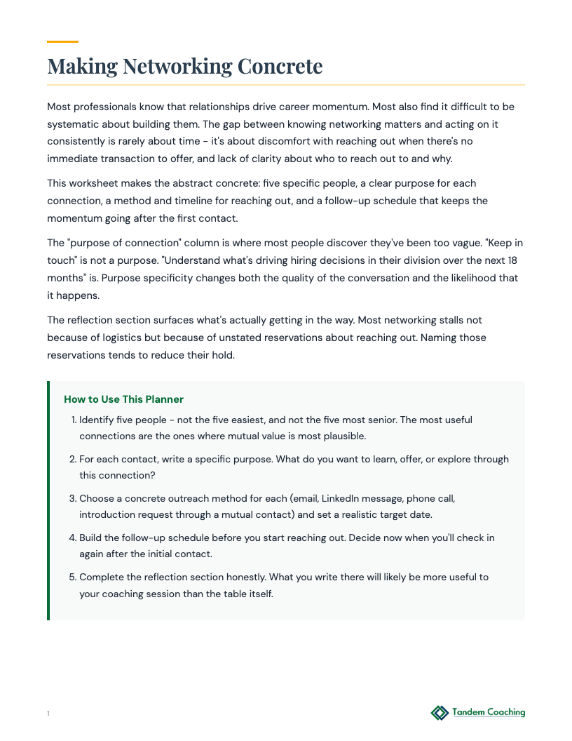 Networking Action Plan - preview