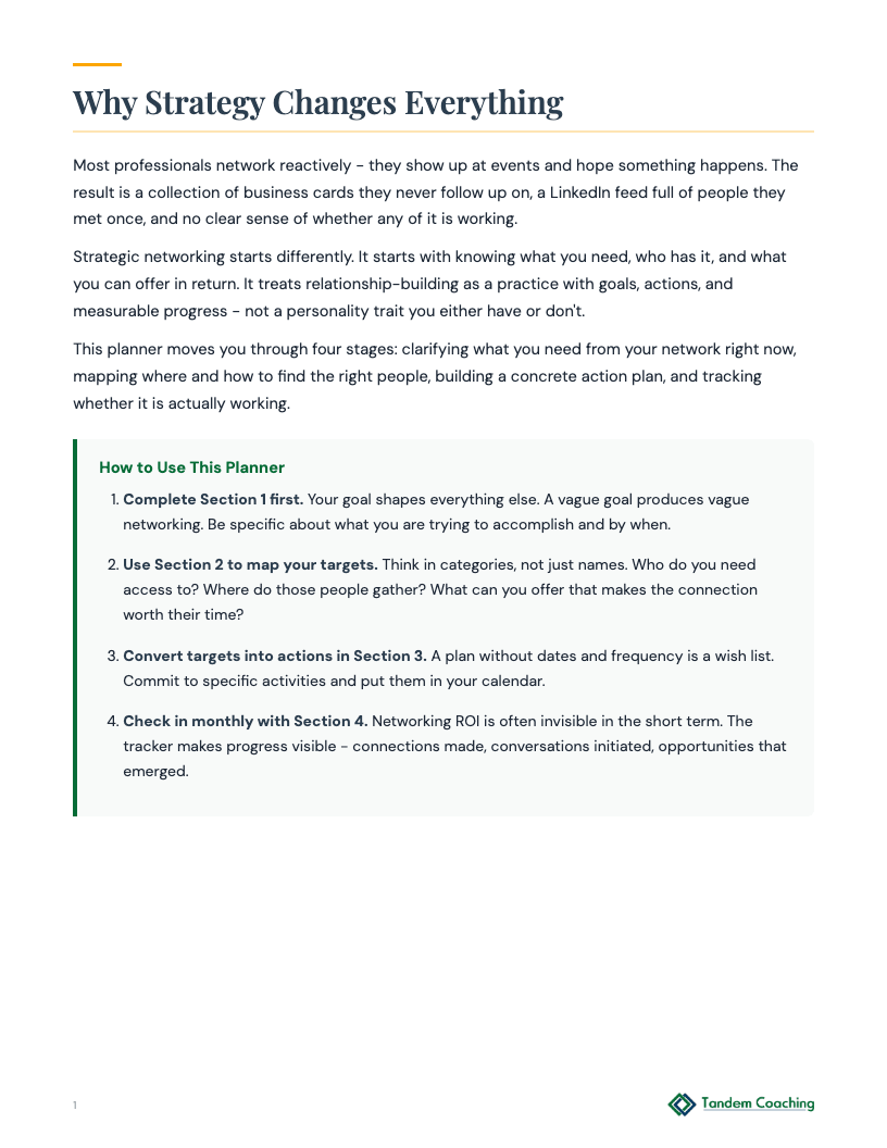 Networking Strategy Planner - preview