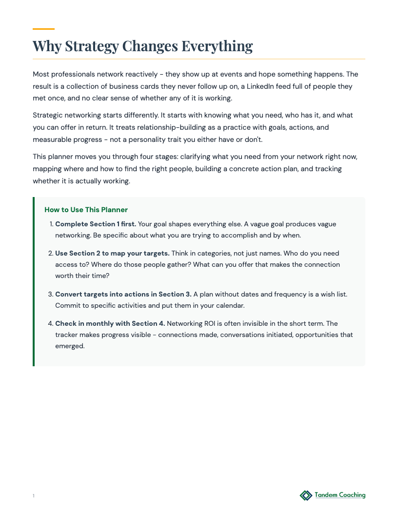 Networking Strategy Planner - preview