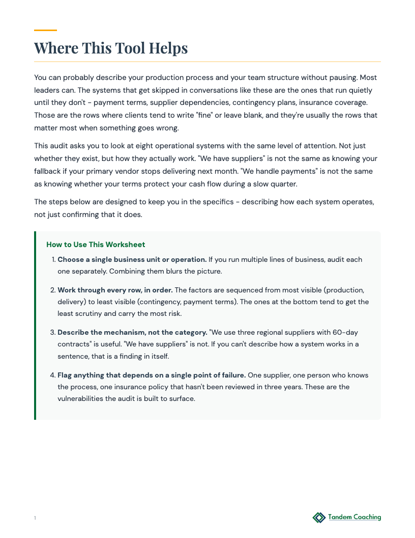 Operational Systems Audit - preview