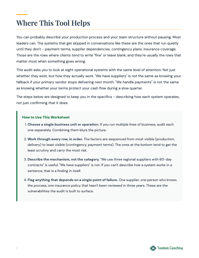 Operational Systems Audit - preview