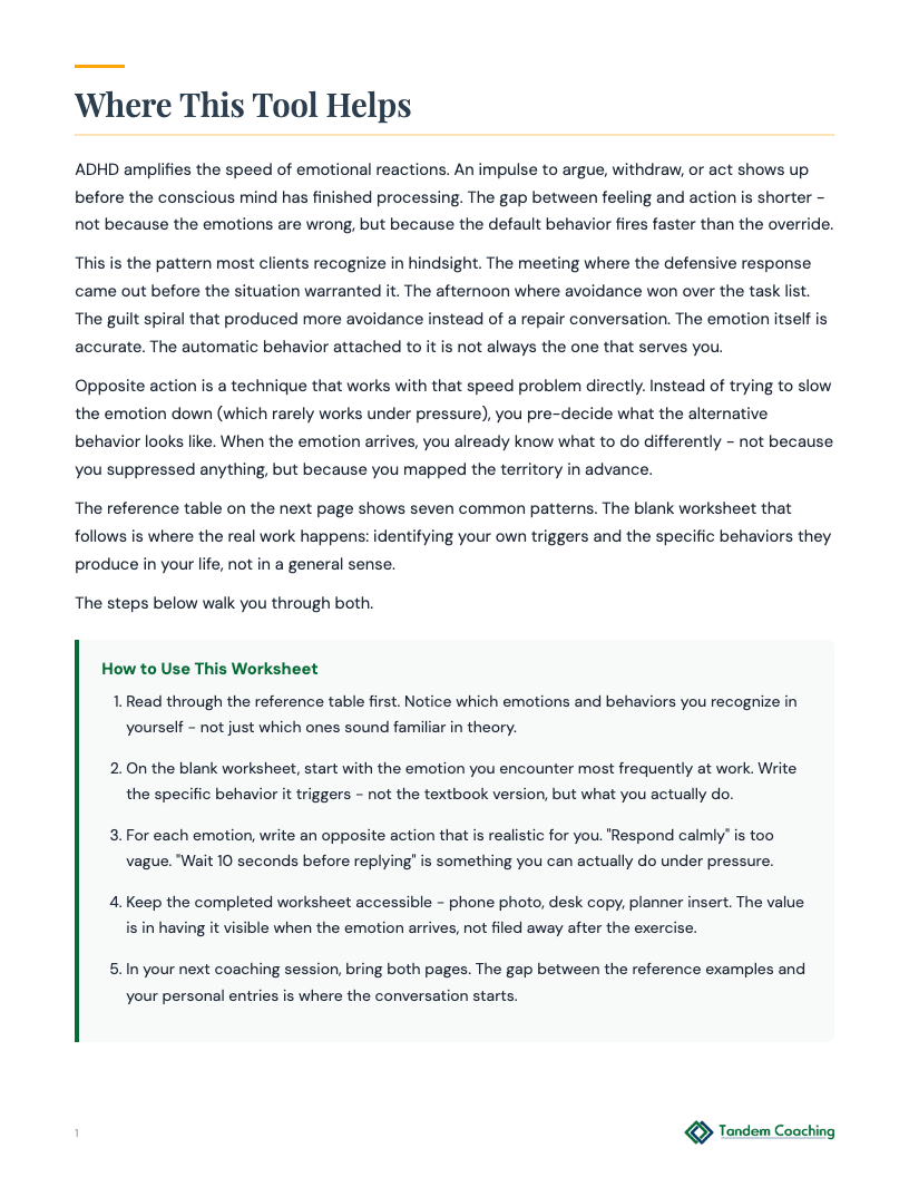 Opposite Actions Worksheet - preview