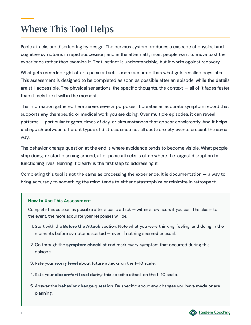 Panic Assessment - preview