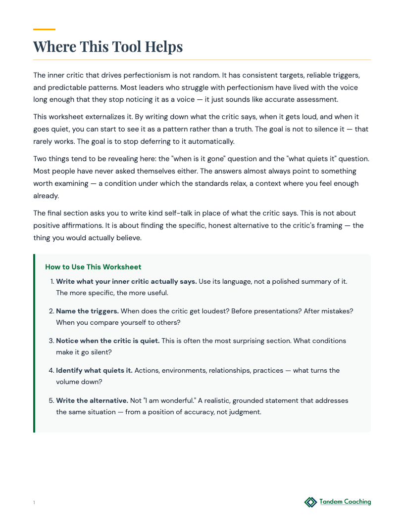 Perfectionism Check Worksheet - preview