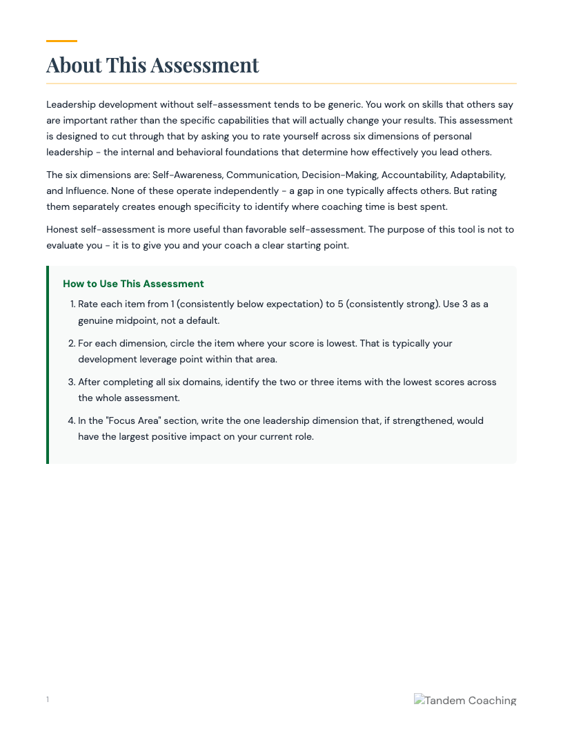 Personal Leadership Assessment - preview