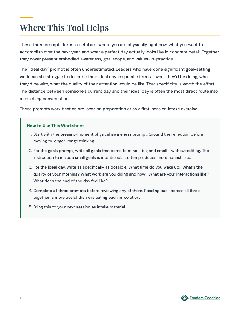 Present, Goals & Ideal Day - preview