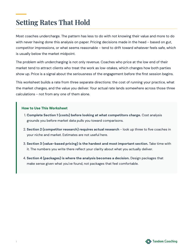 Pricing Strategy Worksheet - preview
