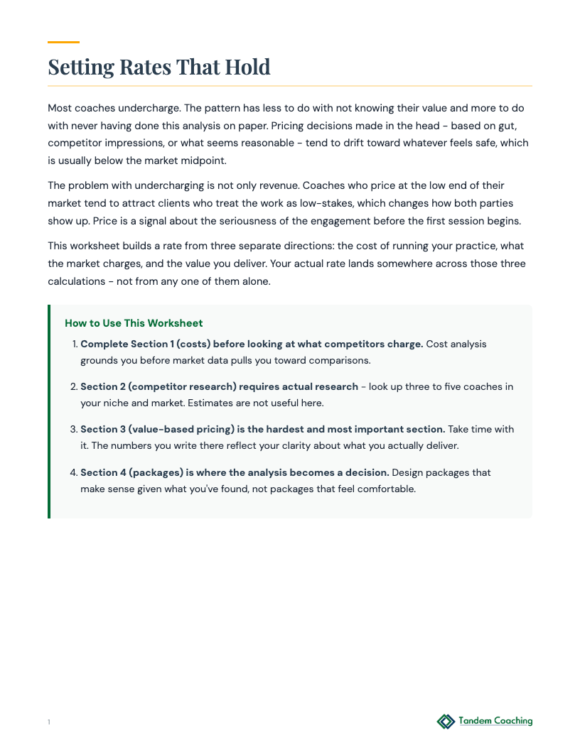 Pricing Strategy Worksheet - preview