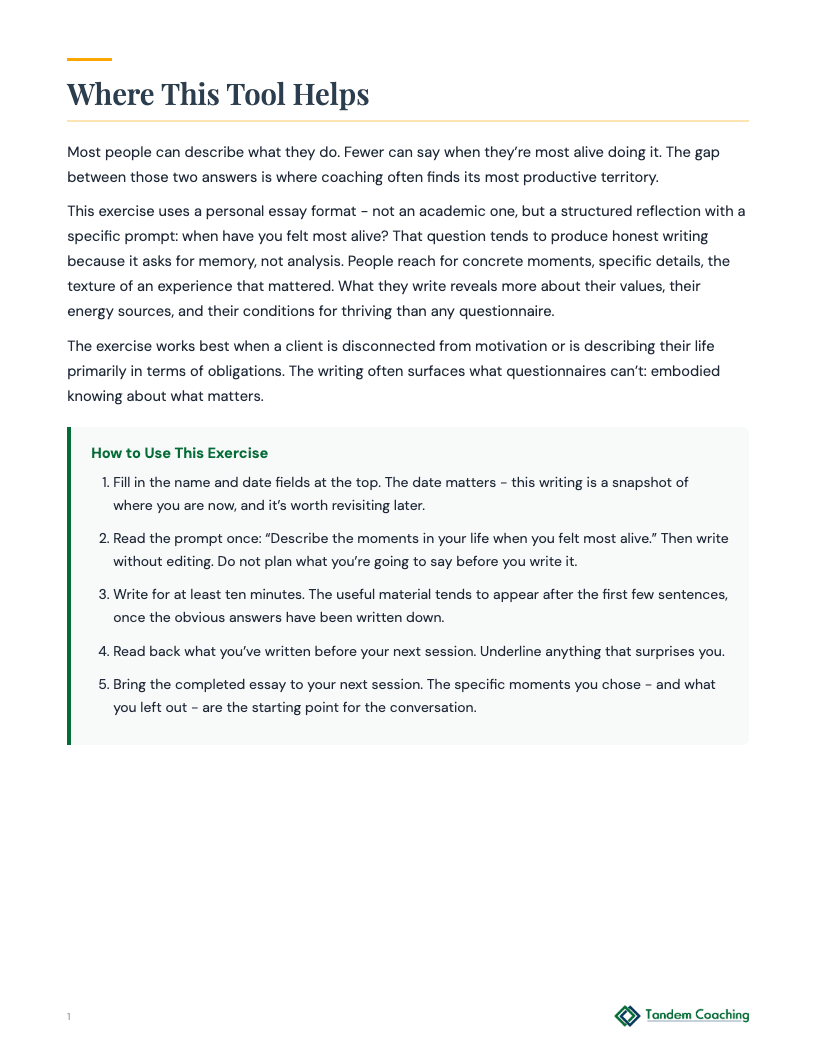 Reflective Essay: Moments of Aliveness - preview