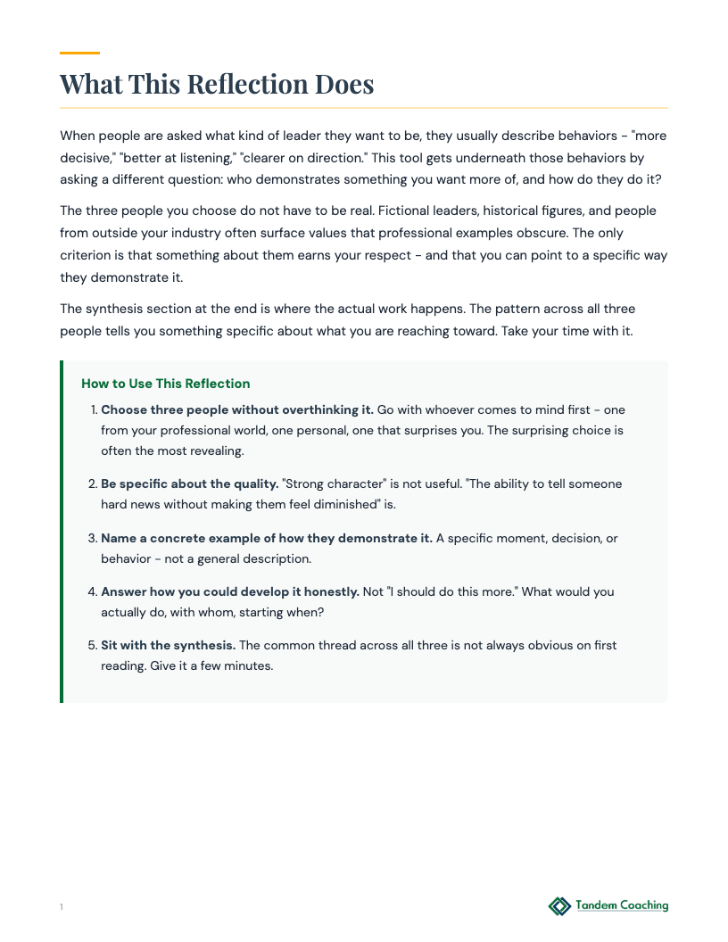 Role Models and Mentors Reflection - preview