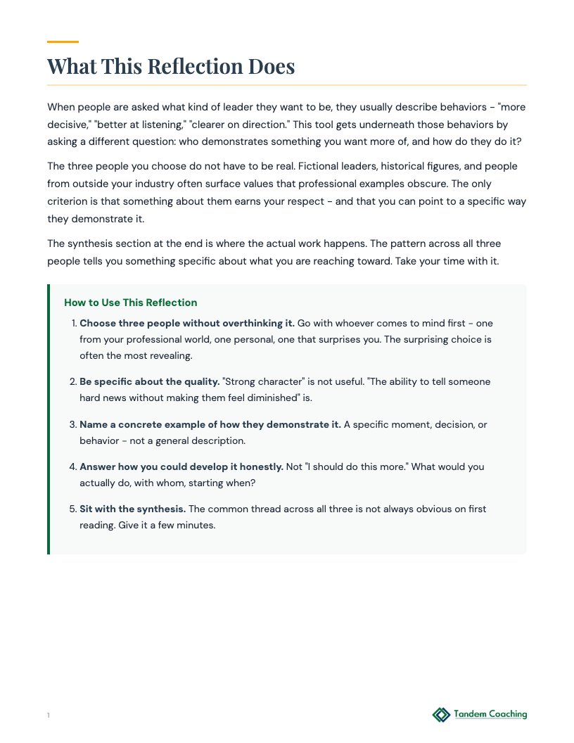 Role Models and Mentors Reflection - preview