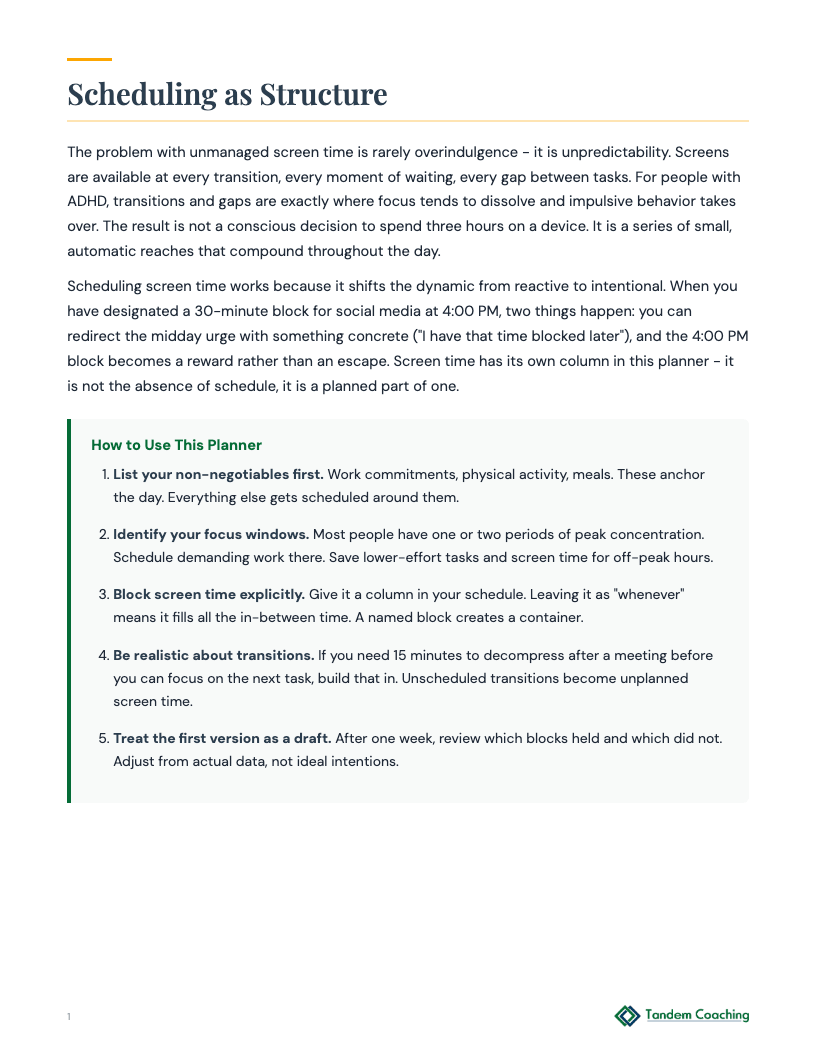 Screen Time Schedule Planner - preview
