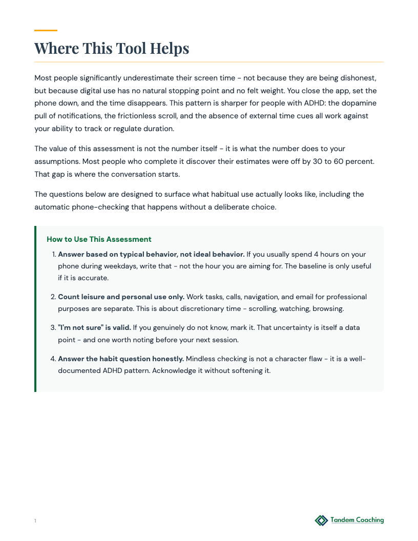 Screen Time Self-Assessment - preview