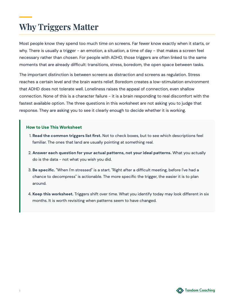 Screen Time Triggers Worksheet - preview