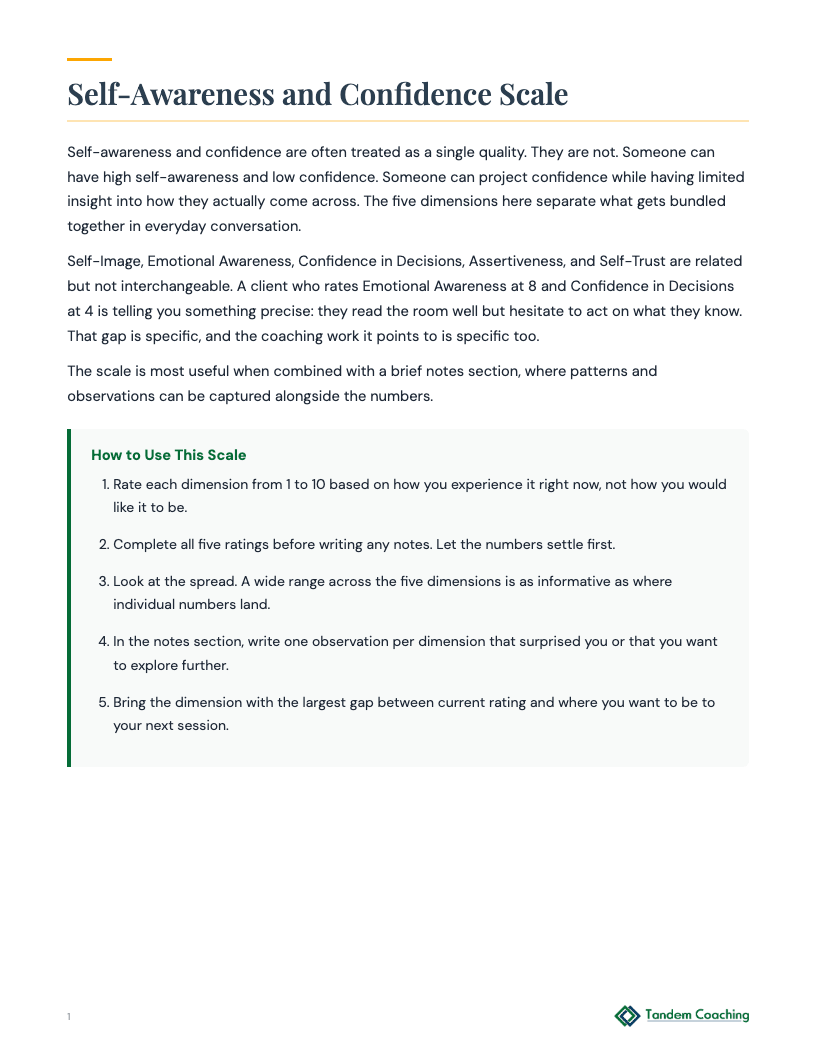 Self-Awareness and Confidence Scale - preview
