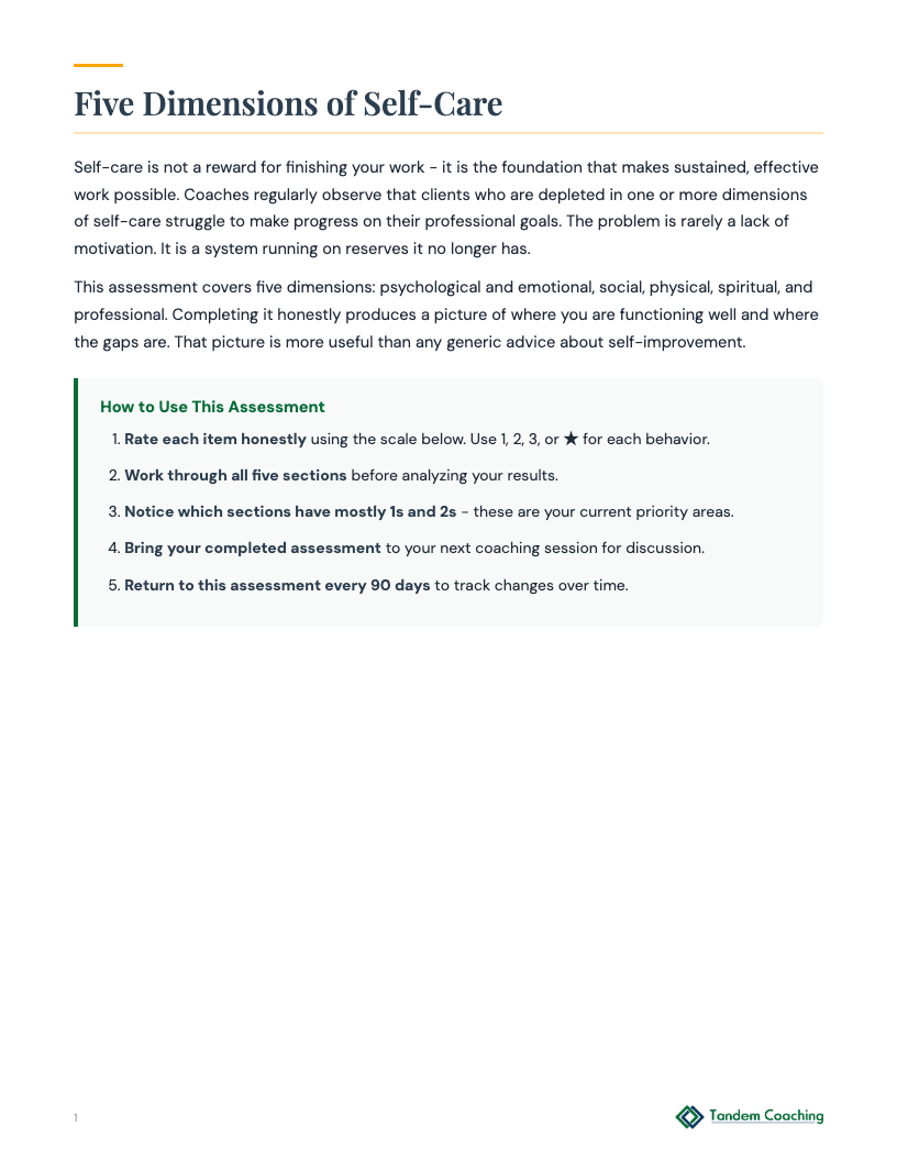 Self-Care Assessment - preview