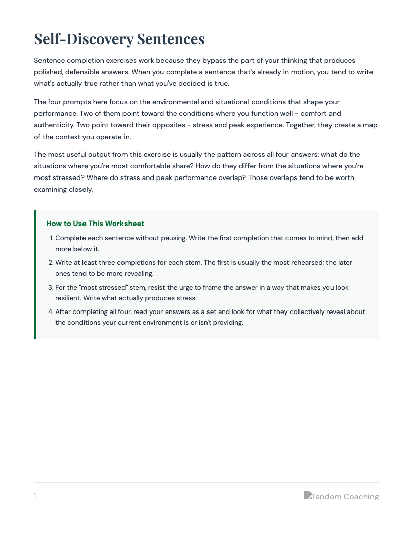 Self-Discovery Worksheet - preview