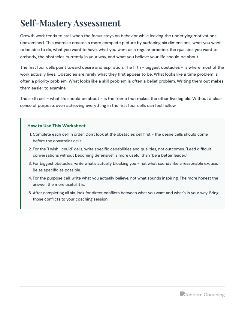 Self-Mastery Worksheet - preview
